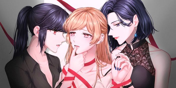 Các Tiêu Chí Lựa Chọn Nền Tảng Đọc Truyện Bách Hợp